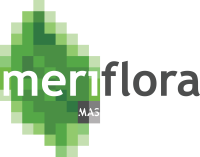 Meriflora